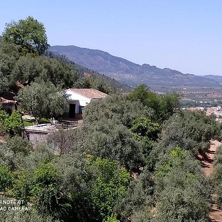 Cortijo Las Lagunillas La Puerta de Segura Dış mekan fotoğraf